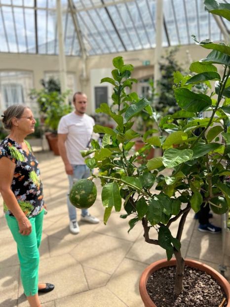 10f3a345-81ac-45d6-9ead-4fbfdfbabc80 - Gradina botanica Londra