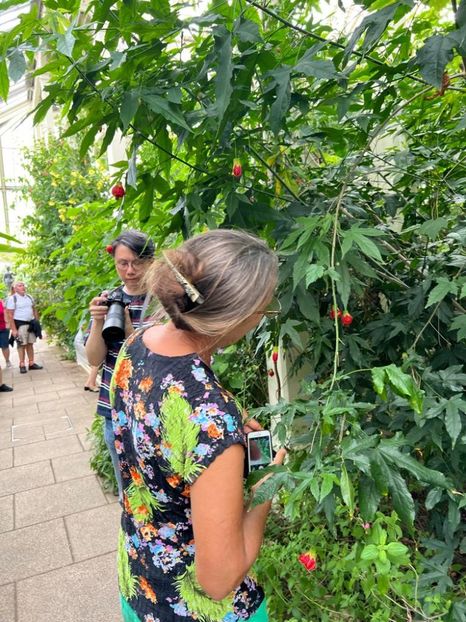 50d60d8e-7474-4ed3-be8e-28ca4701cb53 - Gradina botanica Londra