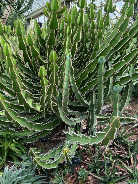 495b6977-f731-4667-80dc-b920a2f646ec - Gradina botanica Londra