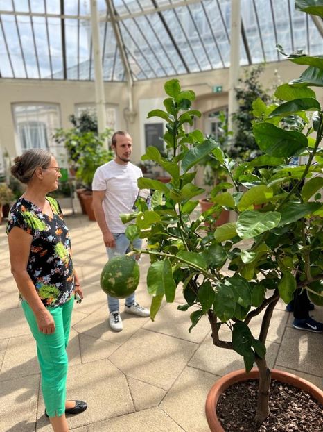 61436077-e6b0-4bf3-9958-cec353453fa2 - Gradina botanica Londra