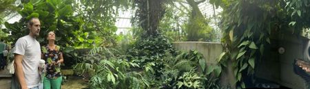  - Gradina botanica Londra