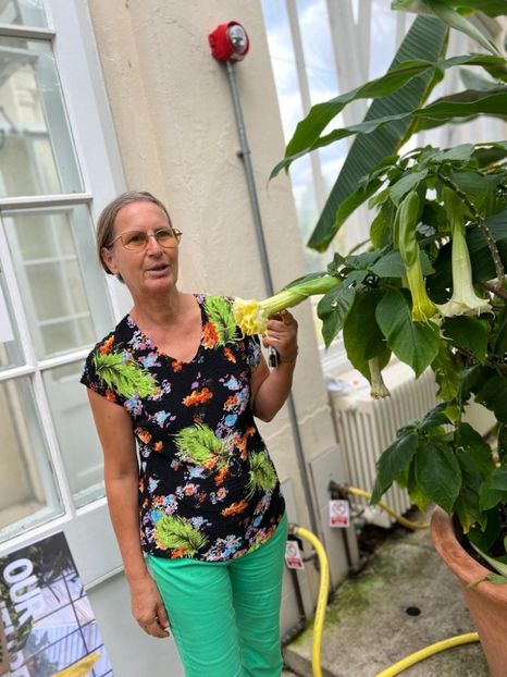 dbc7ab07-8e46-4841-afc1-c7b73b8b59e8 - Gradina botanica Londra