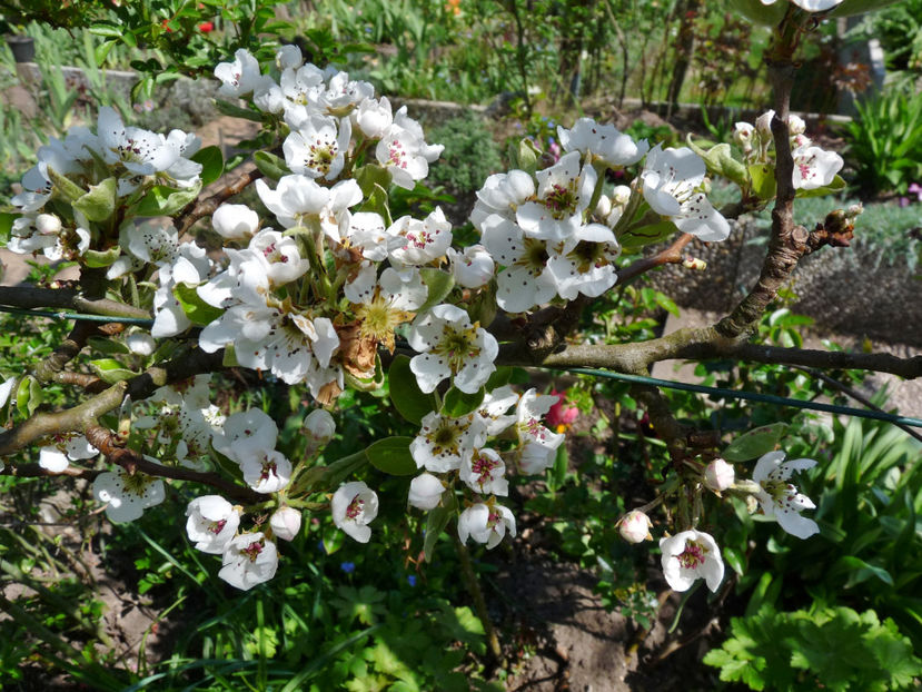  - 2023 - 01 - Primavara