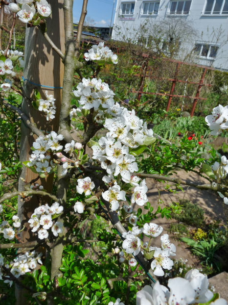  - 2023 - 01 - Primavara