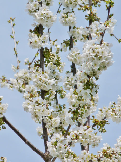  - 2023 - 01 - Primavara