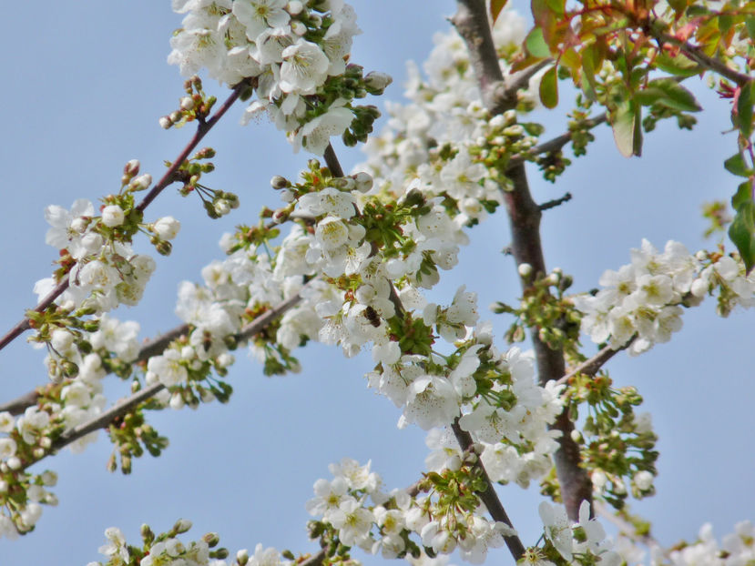  - 2023 - 01 - Primavara