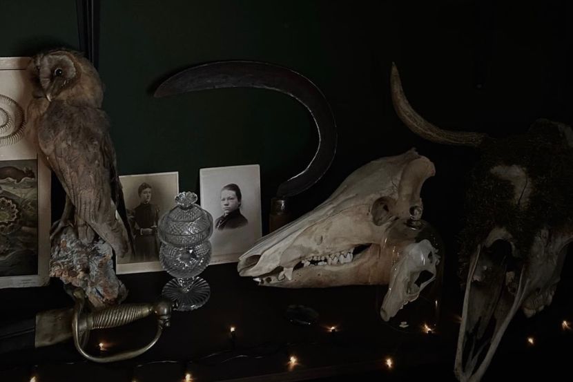 ԳYour head‵ll rest its rotten insides here. - Collection of Tintypes