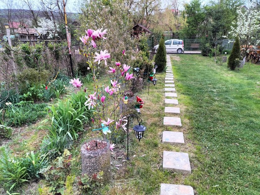 IMG20230424195715 - Primăvara 2023