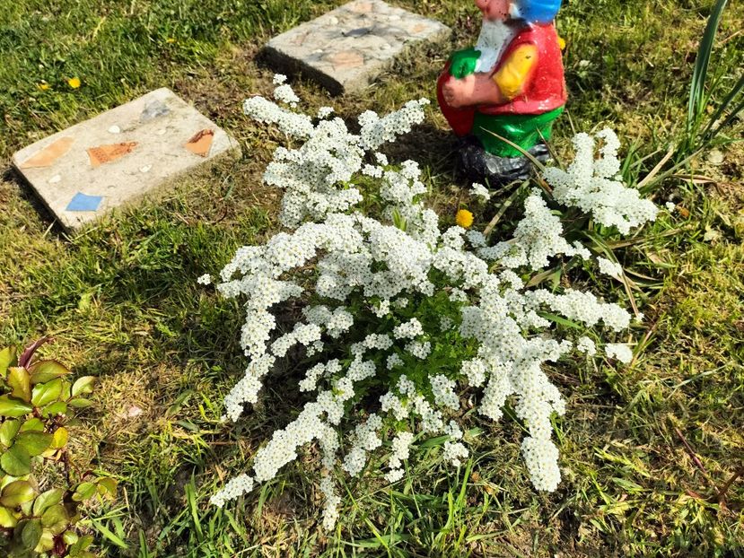 IMG20230423104925 - Primăvara 2023