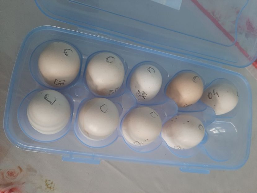 Cermany - Achiziții 2019-2023