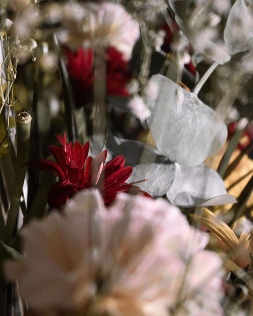 ˌæfrəˈdaɪti　　♡ ‘Fair Aphrodite reigned, men seeking wide - Collection of Tintypes