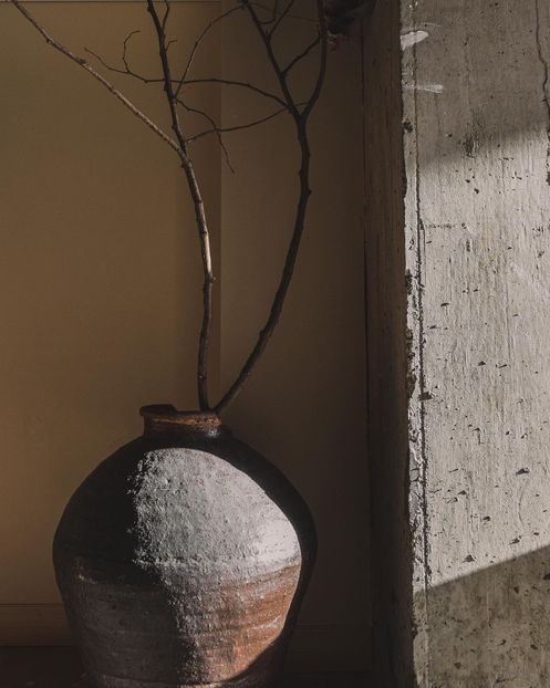 this is not wood, finally - Collection of Tintypes