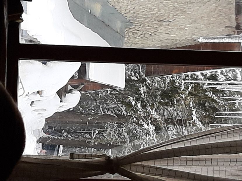  - Concediu 2023 Bansko