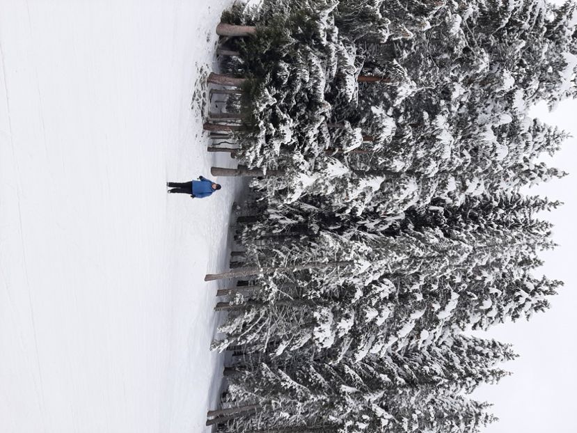  - Concediu 2023 Bansko