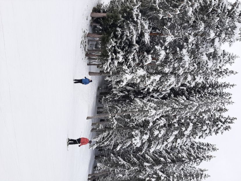  - Concediu 2023 Bansko