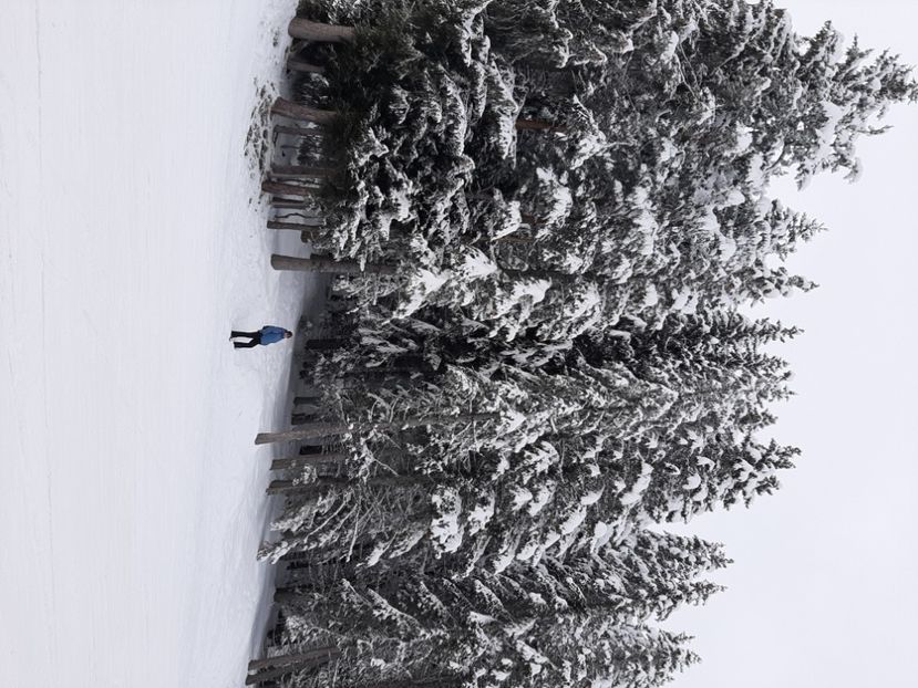  - Concediu 2023 Bansko