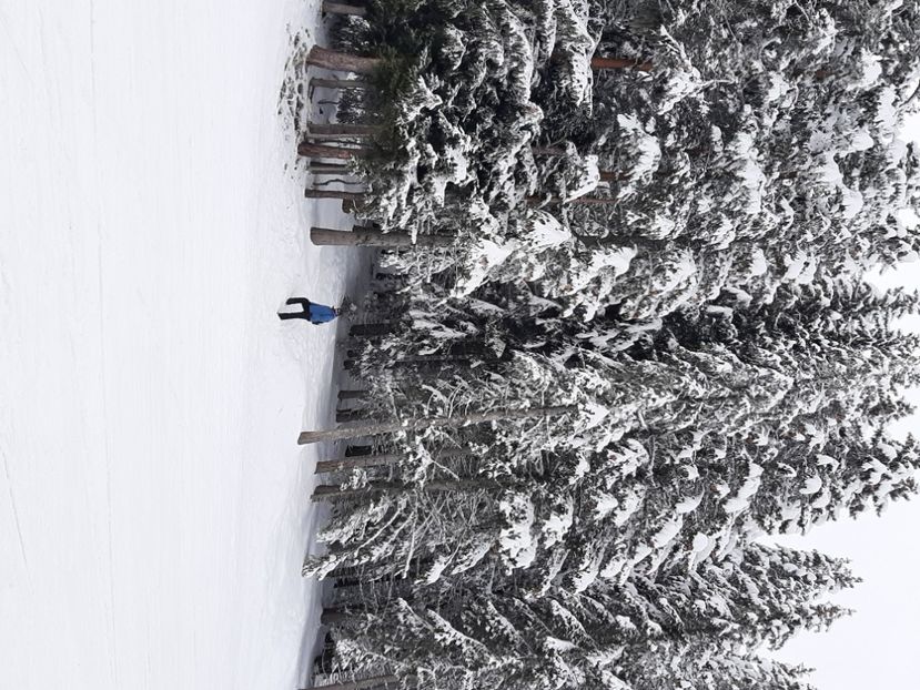  - Concediu 2023 Bansko