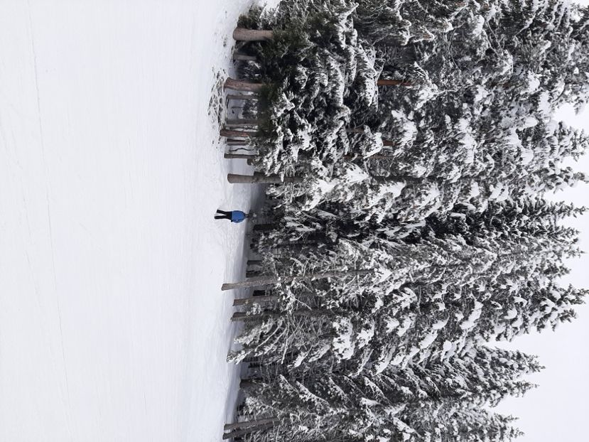  - Concediu 2023 Bansko