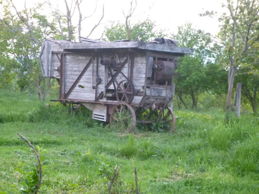  - Simboluri