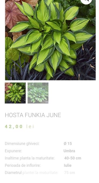 Screenshot_20230426_221558 - aaa Comanda plante 2022 2023 2024