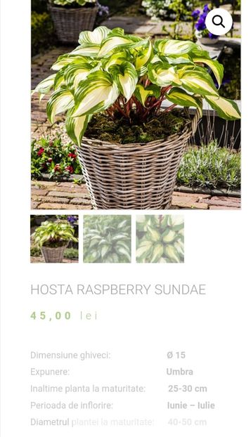 Screenshot_20230426_221428 - aaa Comanda plante 2022 2023 2024