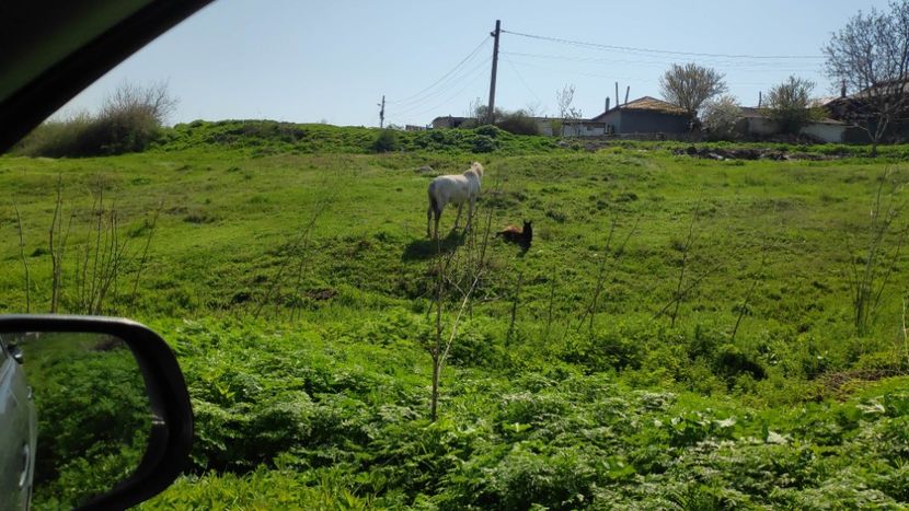  - Limanu aprilie 2023