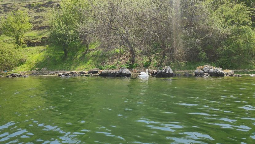  - Limanu aprilie 2023