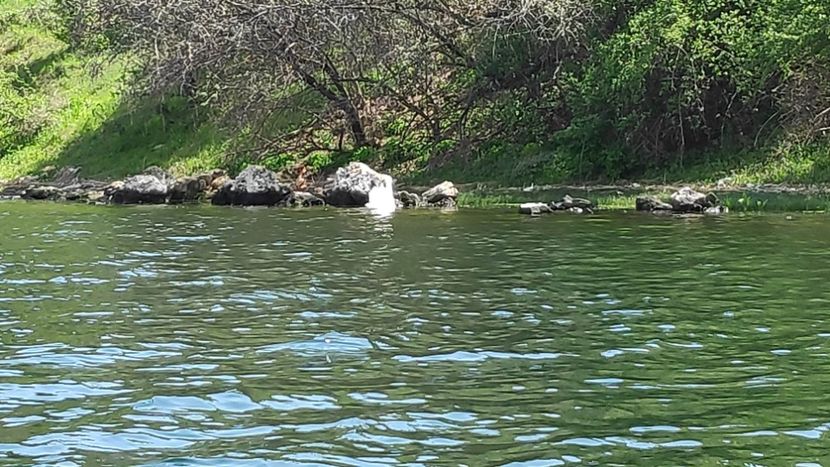  - Limanu aprilie 2023