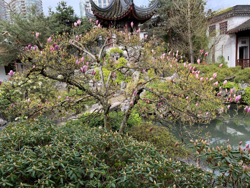  - Dr Sun Yat Sen Classical Chinese Garden