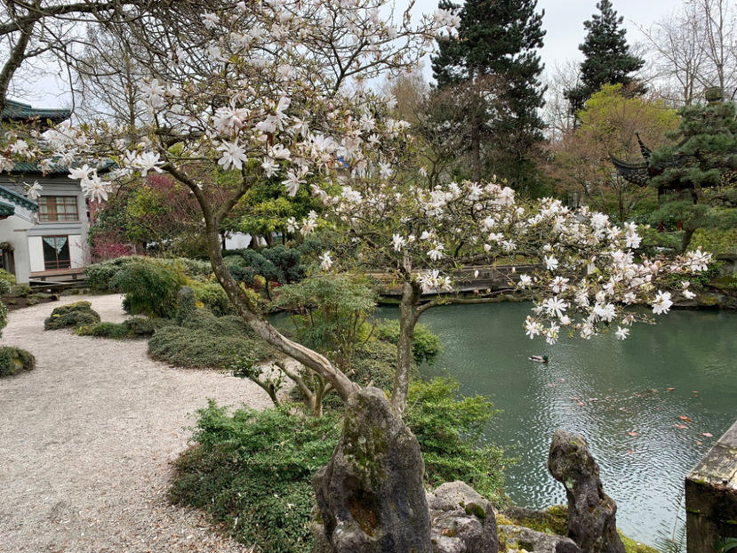  - Dr Sun Yat Sen Classical Chinese Garden