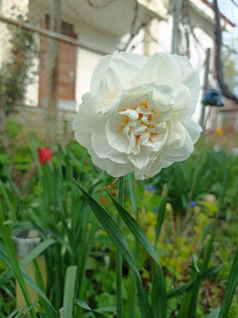 27.04 - gradina 2023