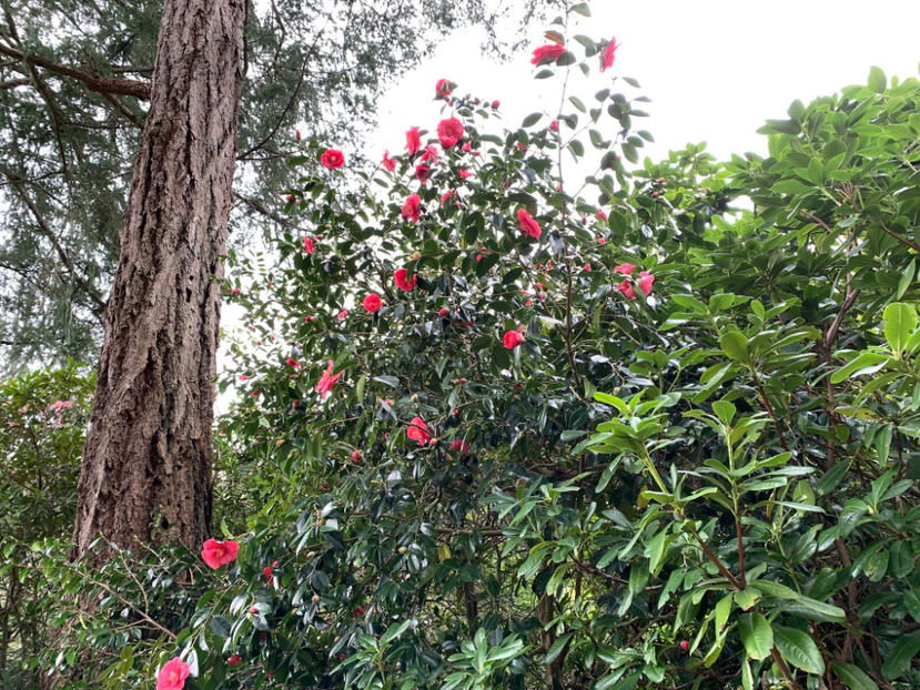  - The Butchart Gardens Victoria BC