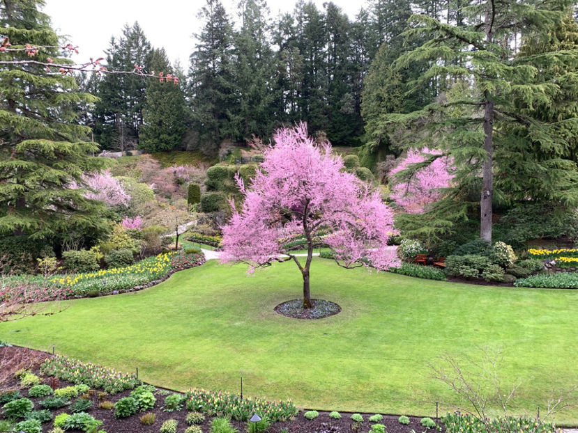  - The Butchart Gardens Victoria BC