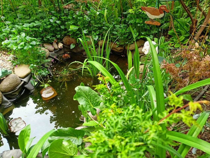 Shishigashira - Arțari