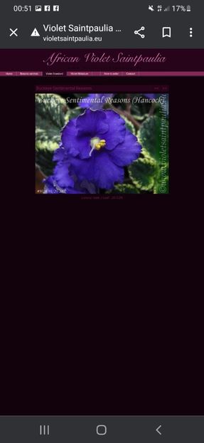 Screenshot_20230427-005150_Chrome - A Dorinte