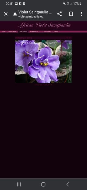 Screenshot_20230427-005133_Chrome - A Dorinte