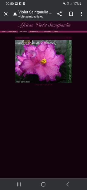 Screenshot_20230427-005048_Chrome - A Dorinte