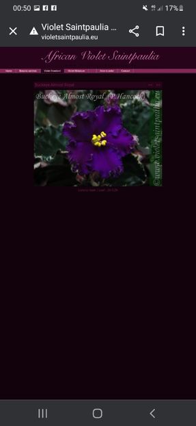 Screenshot_20230427-005022_Chrome - A Dorinte