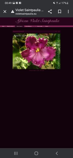 Screenshot_20230427-004934_Chrome - A Dorinte