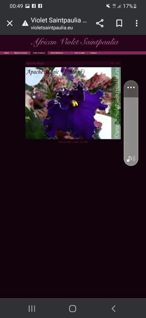 Screenshot_20230427-004925_Chrome - A Dorinte