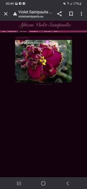 Screenshot_20230427-004902_Chrome - A Dorinte