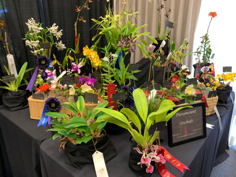  - Vancouver Orchid Society Show and Sale