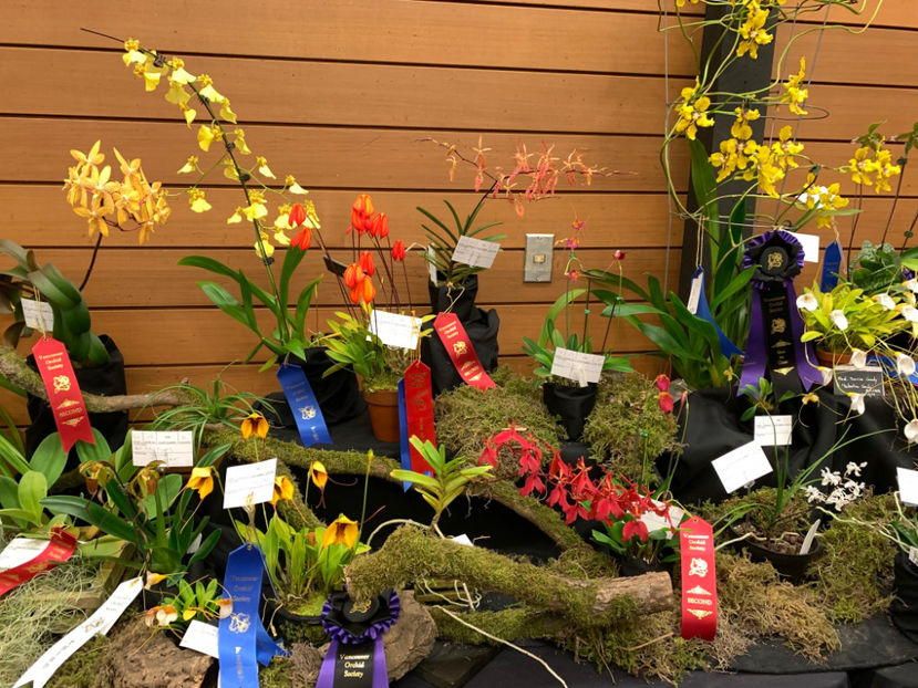  - Vancouver Orchid Society Show and Sale