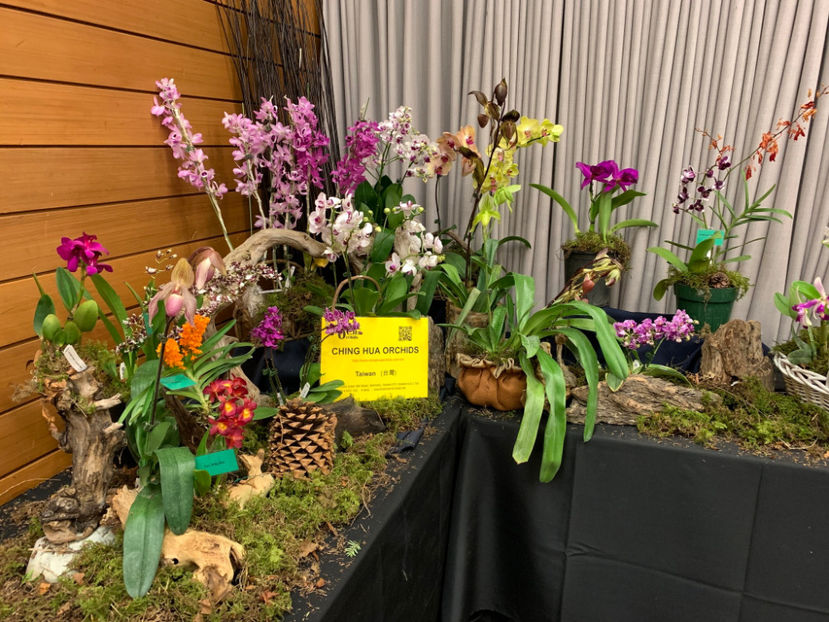  - Vancouver Orchid Society Show and Sale