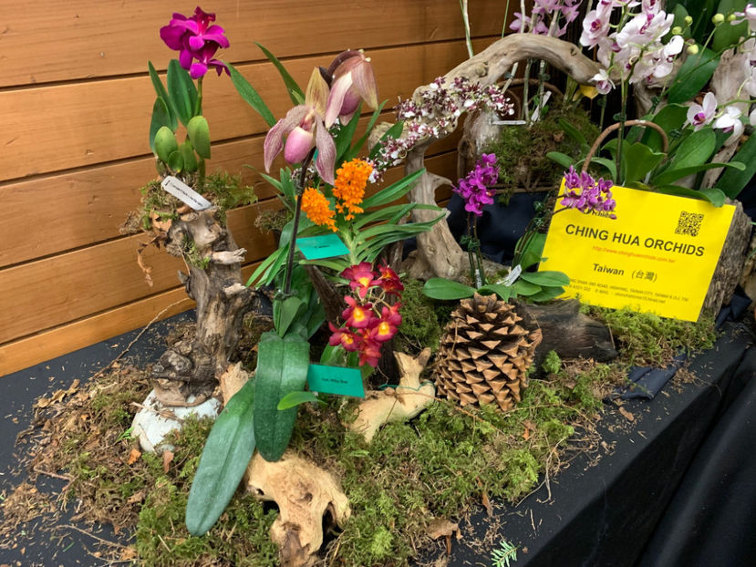  - Vancouver Orchid Society Show and Sale