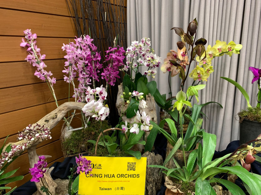  - Vancouver Orchid Society Show and Sale