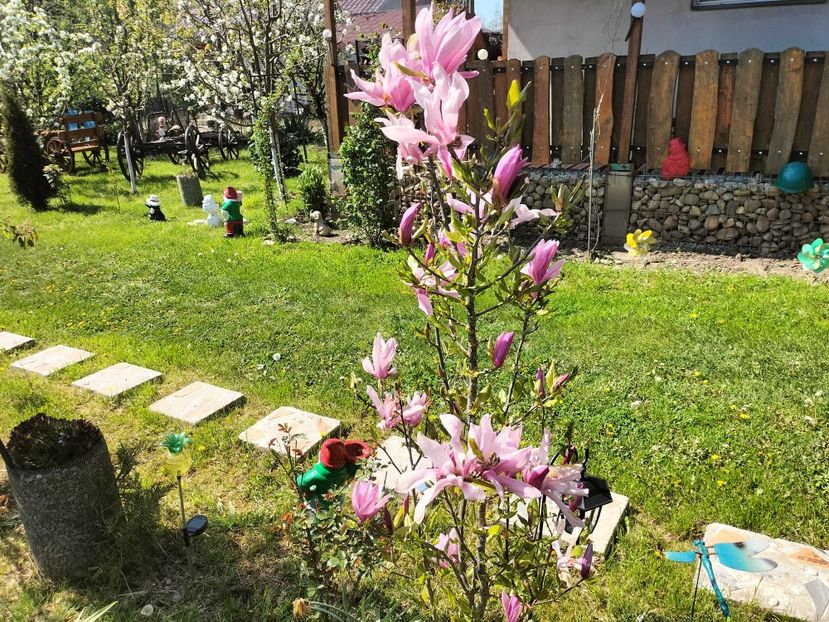 IMG20230428153149 - Primăvara 2023