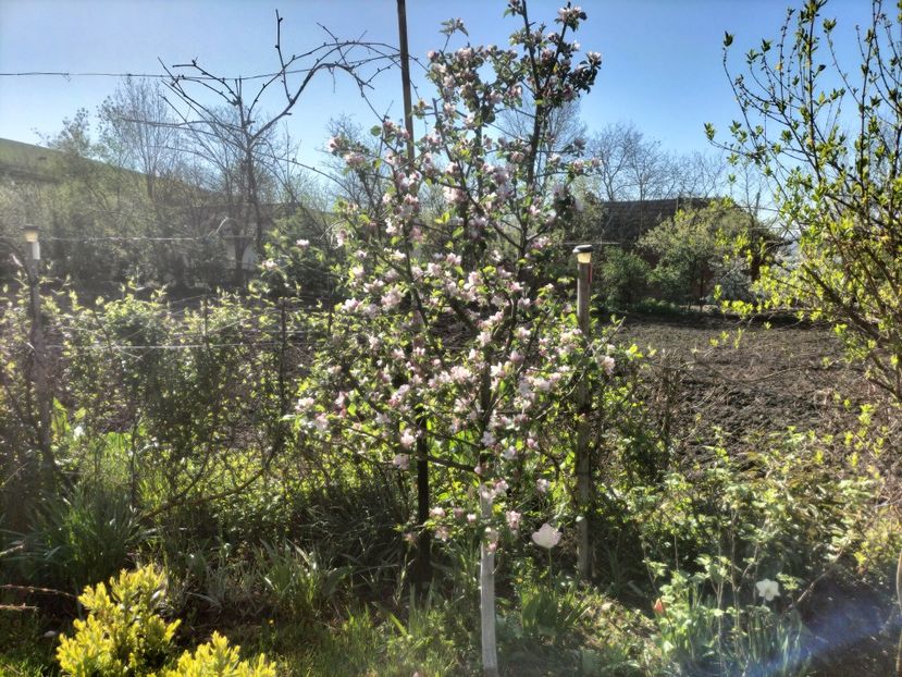 IMG20230428095305 - Primăvara 2023