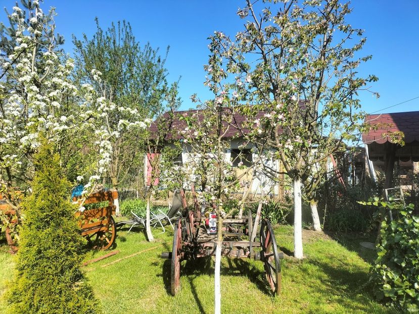 IMG20230428095255 - Primăvara 2023