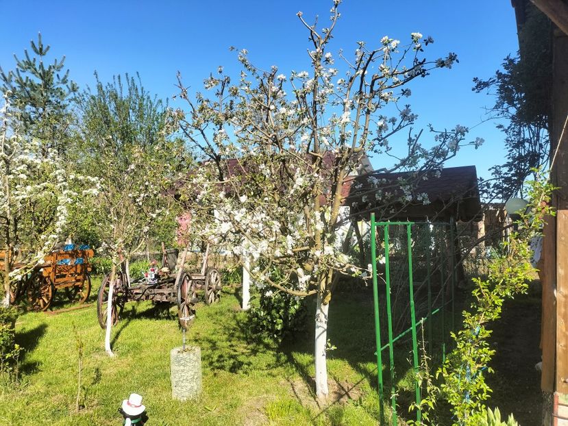 IMG20230428095224 - Primăvara 2023